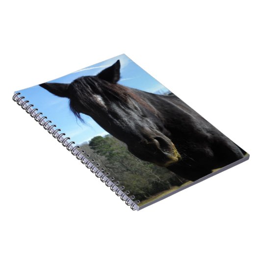 Rescuated Black Draft Horse Notitieboek (Rechterzijde)