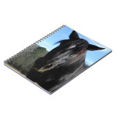 Rescuated Black Draft Horse Notitieboek (Linkerzijde)