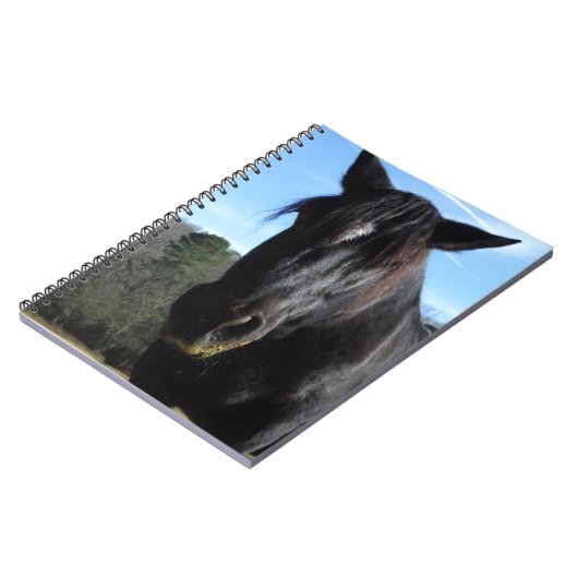 Rescuated Black Draft Horse Notitieboek (Linkerzijde)