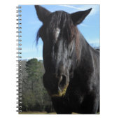 Rescuated Black Draft Horse Notitieboek (Voorkant)