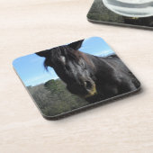 Rescuated Black Draft Horse Onderzetter (Linkerzijde)