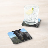 Rescuated Black Draft Horse Onderzetter (Rechterzijde)