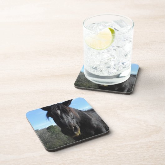 Rescuated Black Draft Horse Onderzetter (Rechterzijde)