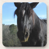 Rescuated Black Draft Horse Onderzetter (Voorkant)