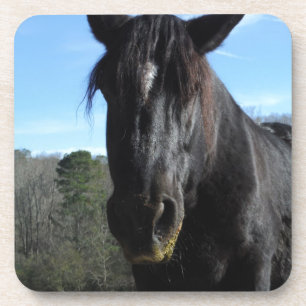 Rescuated Black Draft Horse Onderzetter