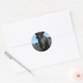 Rescuated Black Draft Horse Ronde Sticker (Envelop)