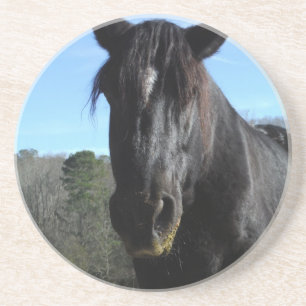 Rescuated Black Draft Horse Zandsteen Onderzetter