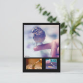 Rescuated Goldfinch Story Briefkaart (Staand voorkant)