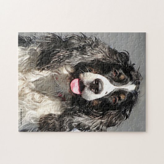 Rescuated Springer Spaniel Dog Jigzaag Puzzle Legpuzzel (Horizontaal)