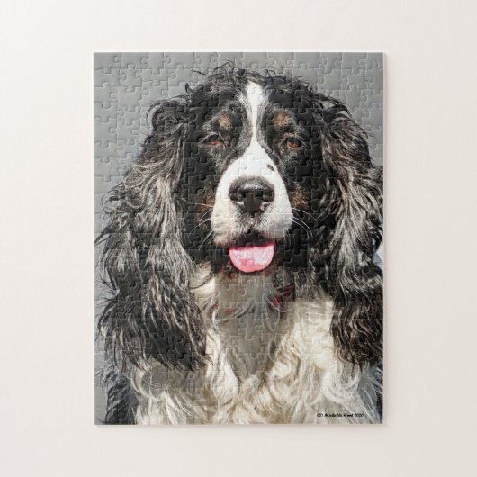Rescuated Springer Spaniel Dog Jigzaag Puzzle Legpuzzel (Verticaal)