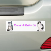 Rescue a Shelter Cat Bumpersticker (Op auto)