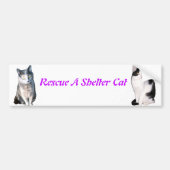 Rescue a Shelter Cat Bumpersticker (Voorkant)