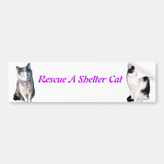 Rescue a Shelter Cat Bumpersticker (Voorkant)