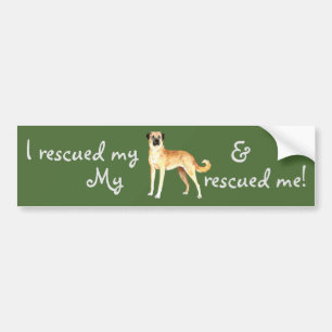 Rescue Anatolian Shepherd Bumpersticker