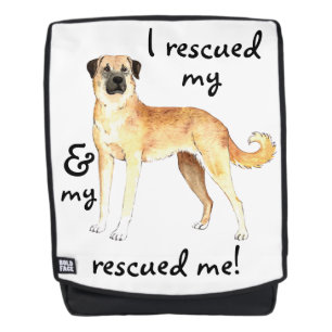 Rescue Anatolian Shepherd Dog Rugtassen