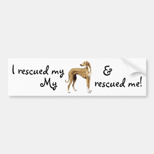 Rescue Azawakh Bumpersticker (Voorkant)