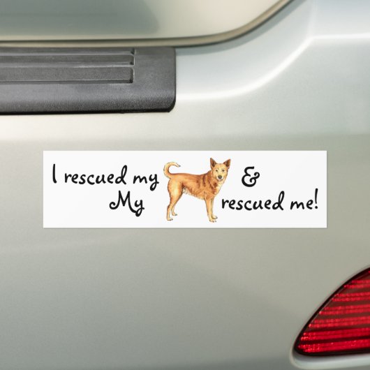 Rescue Canaan Dog Bumpersticker (Op auto)