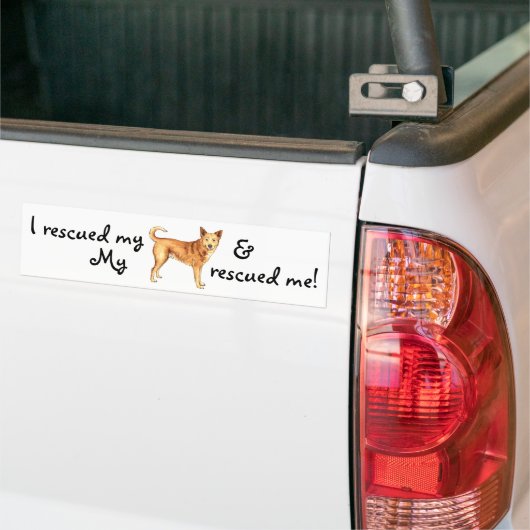 Rescue Canaan Dog Bumpersticker (Op Truck)