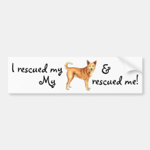 Rescue Canaan Dog Bumpersticker