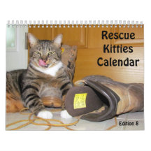 Rescue Cat Calendar - Editie 8