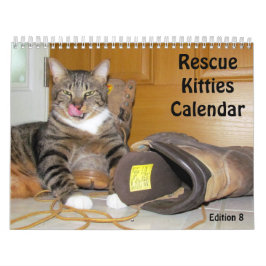 Rescue Cat Calendar - Editie 8 Kalender