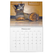 Rescue Cat Calendar - Editie 8 Kalender (Feb 2027)