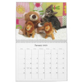 Rescue Cat Calendar - Editie 8 Kalender (Jan 2026)