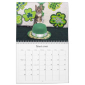 Rescue Cat Calendar - Editie 8 Kalender (Mar 2026)