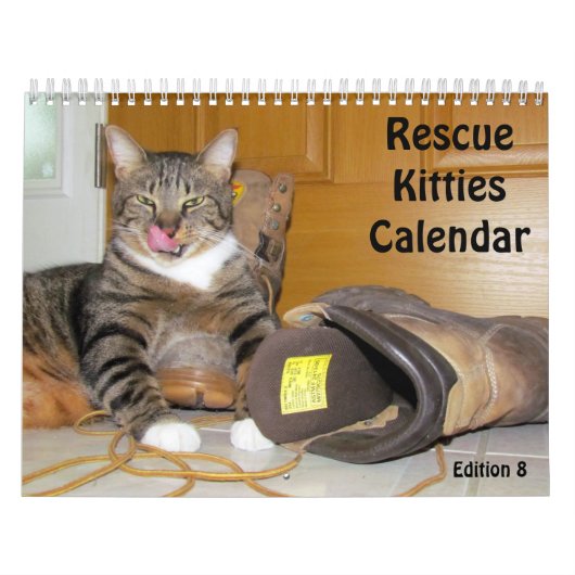 Rescue Cat Calendar - Editie 8 Kalender (Hoes)