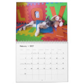 Rescue Cat Calendar - Edition 2 Kalender (Feb 2027)