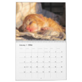 Rescue Cat Calendar - Edition 2 Kalender (Jan 2026)