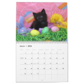 Rescue Cat Calendar - Edition 2 Kalender (Mar 2026)