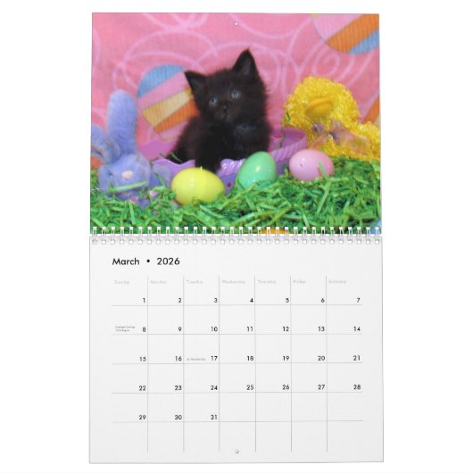 Rescue Cat Calendar - Edition 2 Kalender (Mar 2026)