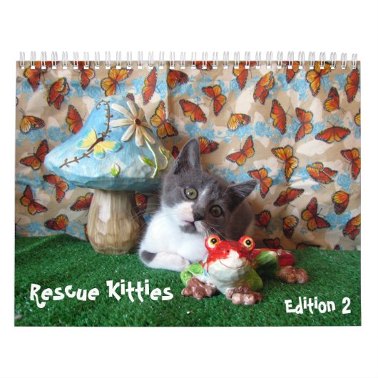 Rescue Cat Calendar - Edition 2 Kalender (Hoes)