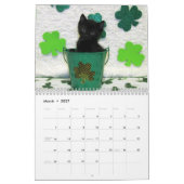 Rescue Cat Calendar — Edition 3 Kalender (Mar 2027)