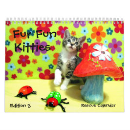 Rescue Cat Calendar — Edition 3 Kalender