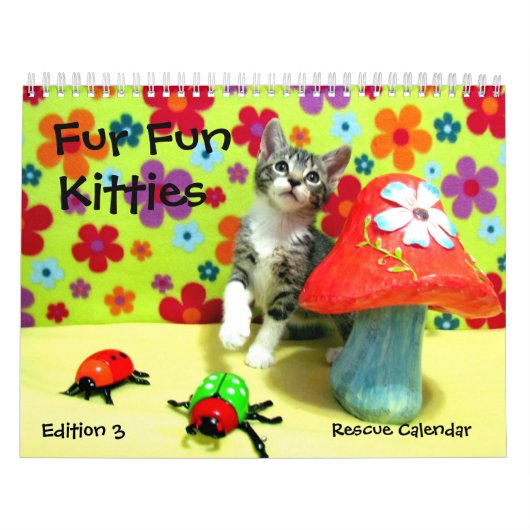 Rescue Cat Calendar — Edition 3 Kalender (Hoes)