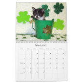 Rescue Cat Calendar - Edition 7 Kalender (Mar 2027)