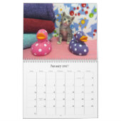 Rescue Cat Calendar - Edition 7 Kalender (Jan 2027)