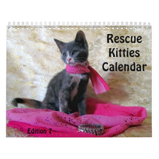 Rescue Cat Calendar - Edition 7 Kalender (Hoes)