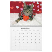 Rescue Cat Calendar - Edition 7 Kalender (Feb 2027)