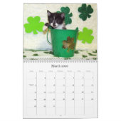 Rescue Cat Calendar - Edition 7 Kalender (Mar 2026)