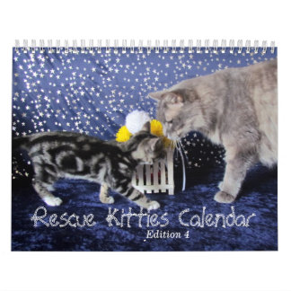 Rescue Cat Calendar - Uitgave 4 Kalender