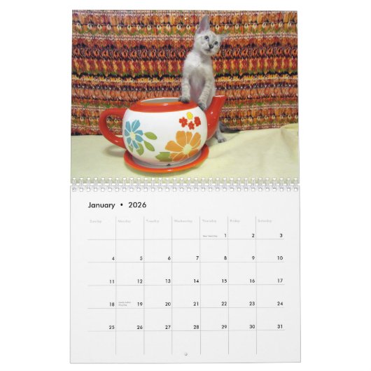 Rescue Cat Calendar - Uitgave 4 Kalender (Jan 2026)