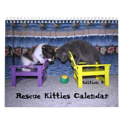 Rescue Cat Calendar - Uitgave 5 Kalender (Hoes)