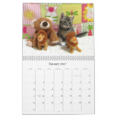 Rescue Cat Calendar - Uitgave 6 Kalender (Jan 2027)