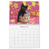 Rescue Cat Calendar - Uitgave 6 Kalender (Feb 2027)