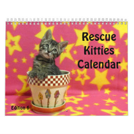 Rescue Cat Calendar - Uitgave 6 Kalender