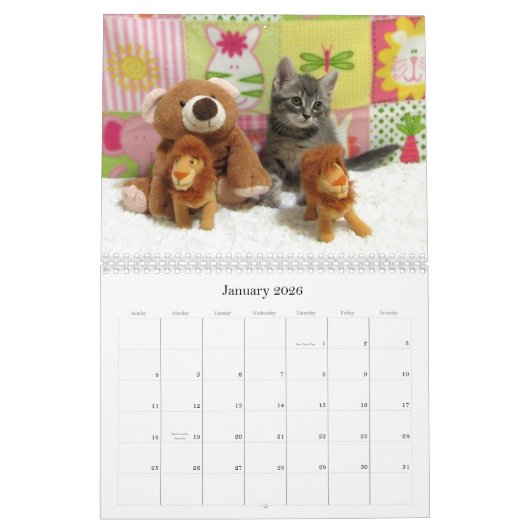 Rescue Cat Calendar - Uitgave 6 Kalender (Jan 2026)