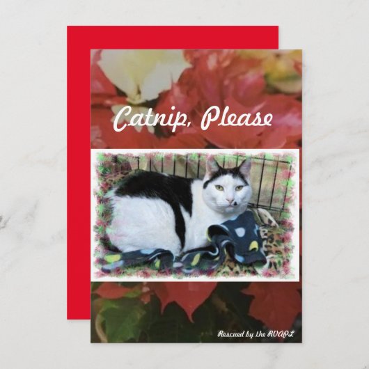 Rescue Cat Holiday Cheer Kaart (Voorkant / Achterkant)